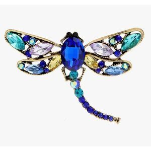 💚 Betsey Johnson colorful dragonfly brooch 💚